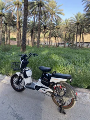 اسكوتر كهربائي