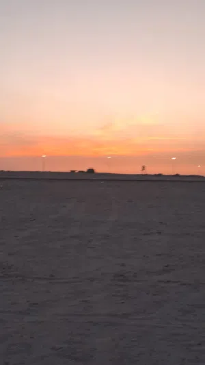 محمد عيسى الغاص 