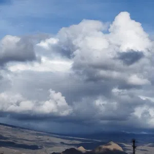 رميح