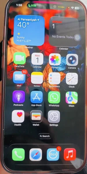 iPhone 16 Pro Max 256GB for Sale