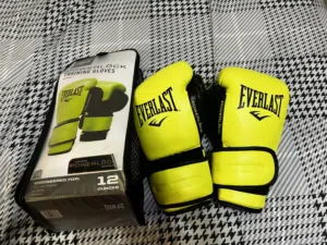 Everlast Boxing Gloves