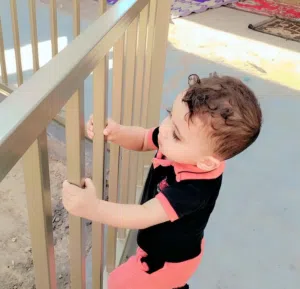 نرجس 