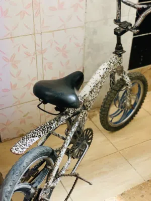 بسكويت كوبرا أمريكي
