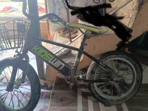 دراجة هوائيه محتاج بس خزينه السعر 35