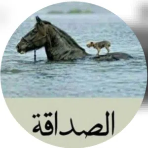 وســاام البصراوي 