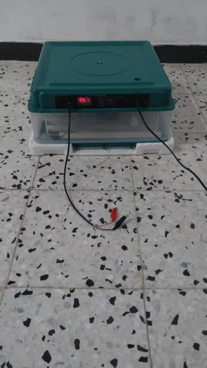 حضانه للبيع