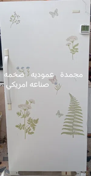 مجمدة عمودية