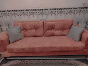 تخم فنقات تركي درجة اولى بسعر مناسب