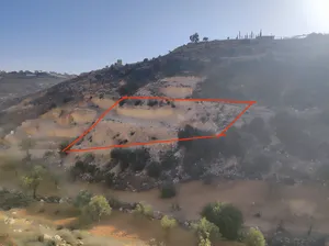 ‏الاستخدام المتعدد ‏.‏ 1000 م٢ ‏.‏ المالك‏3