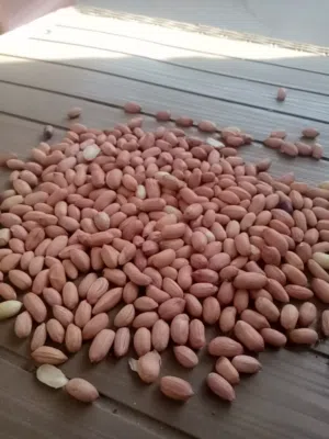 فول سوداني عالى الجودة
