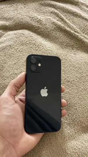 Apple iPhone 12 128 GB in Muscat