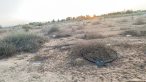 Residential Land for Sale in Tripoli Qasr Bin Ghashir