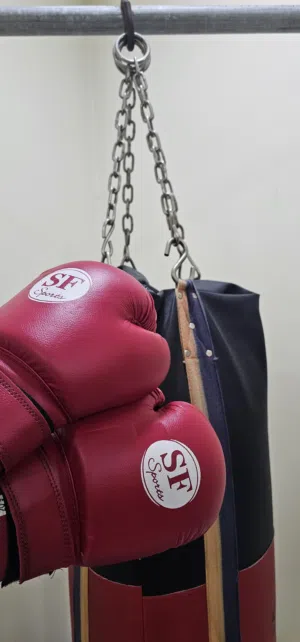 كيس ملاكمه مع قفاز للبيع