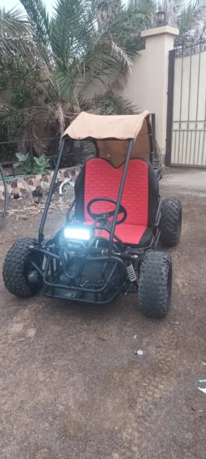 Buggy . All Models . 20253