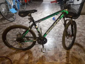 بسكليت أمريكي 24