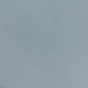 ميرو الوشام 