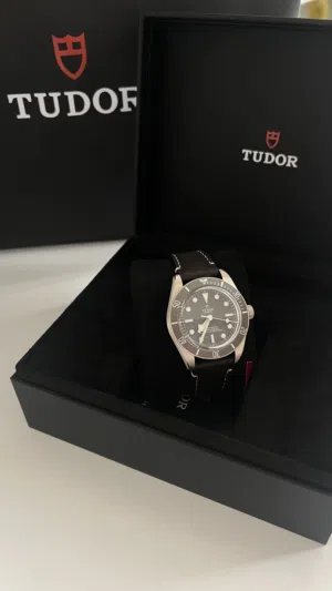 Tudor Black Bay 58 925 Silver 2026