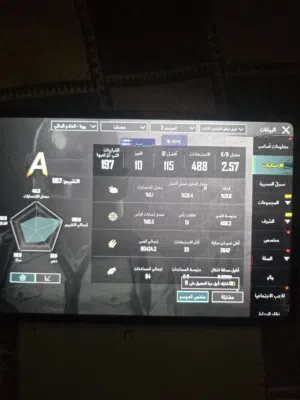 Pubg Accounts and Characters for Sale in Hebron