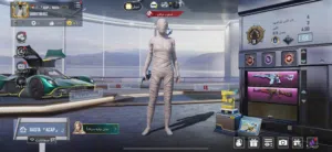 Pubg Accounts and Characters for Sale in Dubai