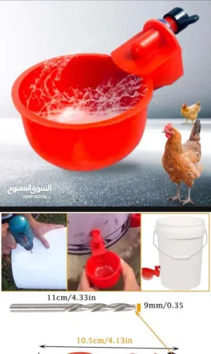 حوض ماء واكل للطيور