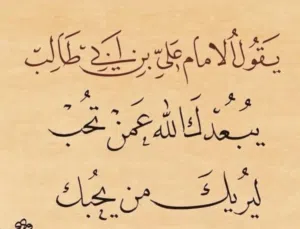 للبيع شاشة ونسا HD 43 بوصة