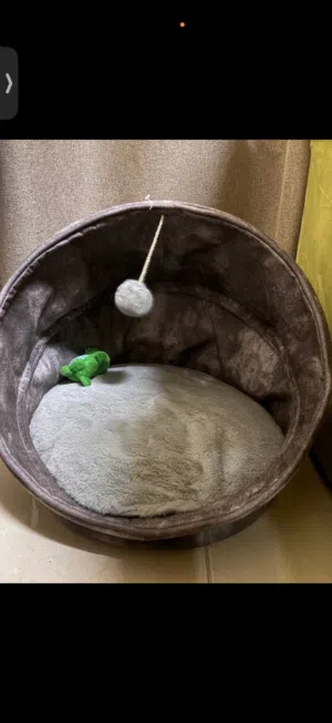 Cat bed  perfect condition