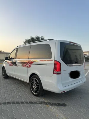 فان فل VIP 1/1
