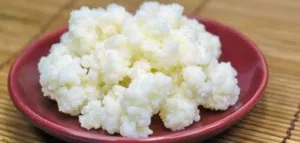 الكفير او الكيفير kefer ( الفطر الهندي ) لزياده مناعة الجسم