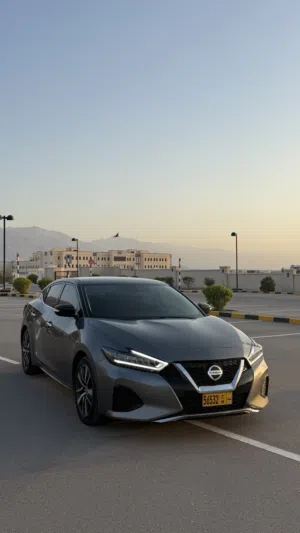 New Nissan Maxima in Al Batinah