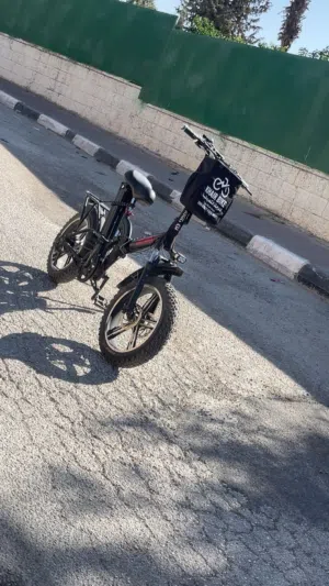 بسكليت كهربا