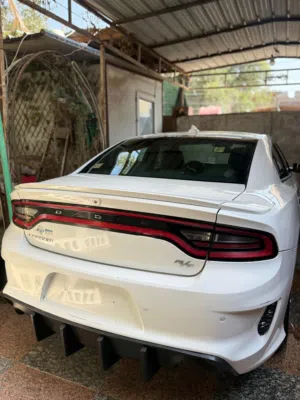 جارجر امريكي دعاميه ومدكر 2018 بدون رقم اصولي مكمرك
