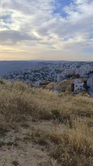 Residential Land for Sale in Amman Naour