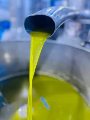 زيت زيتون بلدي