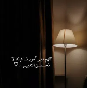 mahmoud Seif 