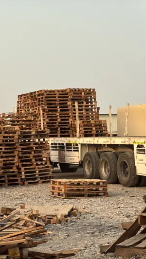 We buy and sell all kinds of pallets