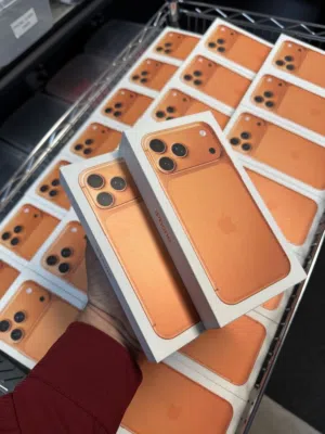 Apple iPhone 17 Pro Max 256 GB in Hail