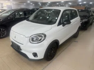 New Leapmotor Other in Amman