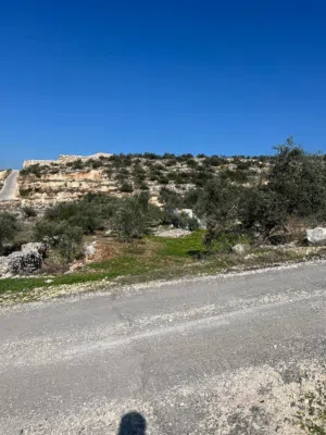 نمرة ارض للبيع