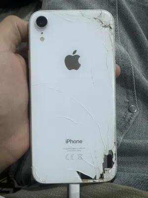 اكس ار ابيض