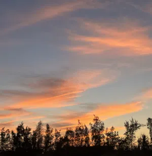 اسامة باشاآغا