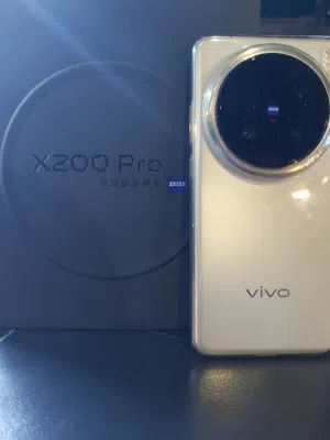 Vivo x200 pro 512 gb
