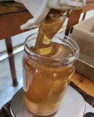 Honey2