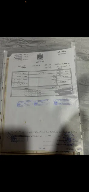 حسام ابو ادم