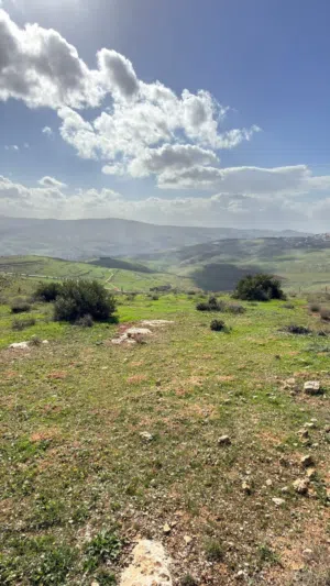 أرض 1700م أعلى إطلالة كاشفة عنيبة جرش منطقة شاليهات - قريبة من جامعة جرش