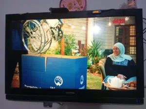 بلازما GRunDIG. امريكية