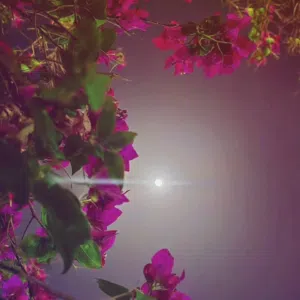 صل على محمد 