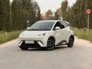BYD SEAGULL 2023 405km
