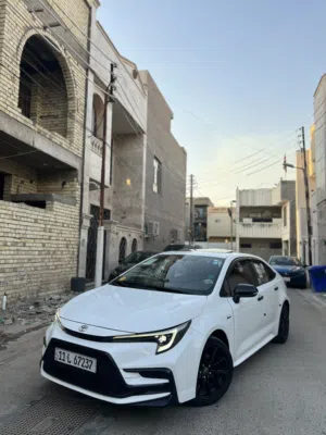 Used Toyota Corolla in Baghdad
