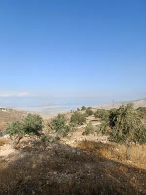 Farm Land for Sale in Salt Other