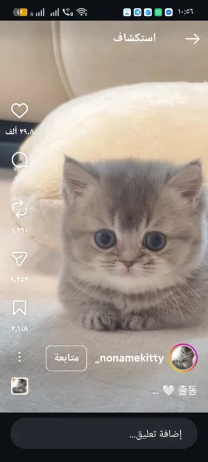 محتاجه نفس النوع اتبناه